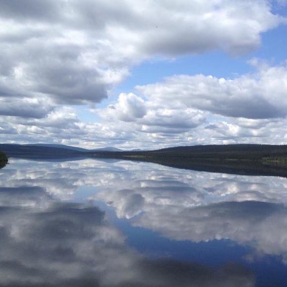 2000+ 5⭐️ REVIEWS - Picture 6 of 17